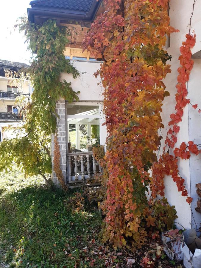 Locanda Rondolost Cencenighe Exterior photo